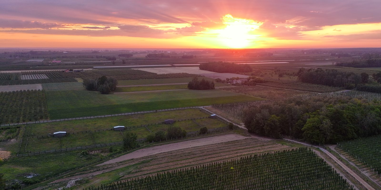 Aerial view of patchwork farmland and vineyards under a warm pink and gold sunset sky