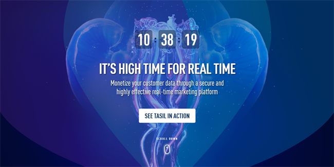 TASIL Data Monetization Platform